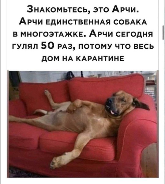 K�p��ka - 11 ������ 2020 � 13:07