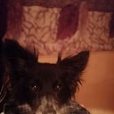 ���� ����, ������, 44 ���� - ��������� 12 ���� 2020 � ������ ���� ����������