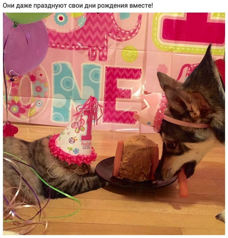 o   oo ooo o, o  o  . - 8