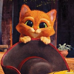 Aleks, �����, 54 ����
