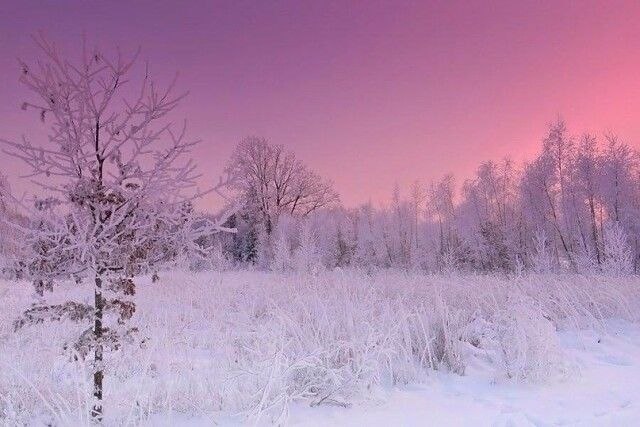 ������ ������� ������ | ����������� - 24 ����� 2020 � 19:06 - 3