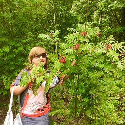 ������, �����-���������, 56 ���