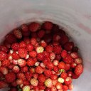 ���� ����, �����, 49 ��� - ��������� 3 ���� 2020 � ������ ���� ����������