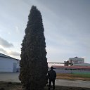 ���� �����, �������, 38 ��� - ��������� 6 ������� 2020