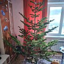 ���� �����, ����-���������, 48 ��� - ��������� 8 ������� 2020