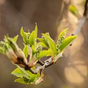 ���� ��������, ��������, 47 ��� - ��������� 9 ������ 2020 � ������ ������ ��������