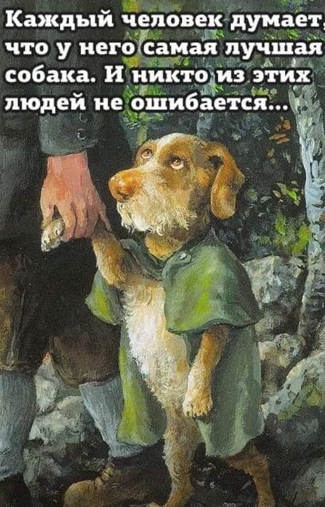 " ") - 15  2020  14:17