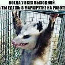���� ������, ��������, 64 ���� - ��������� 3 ������� 2020 � ������ ���� ����������