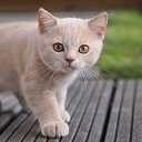 ���� �������, ���������, 28 ��� - ��������� 29 ����� 2020 � ������ ���� ����������