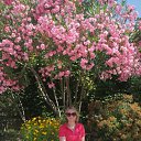 ���� �����, �����, 56 ��� - ��������� 14 ������ 2020 � ������ ���������� ������