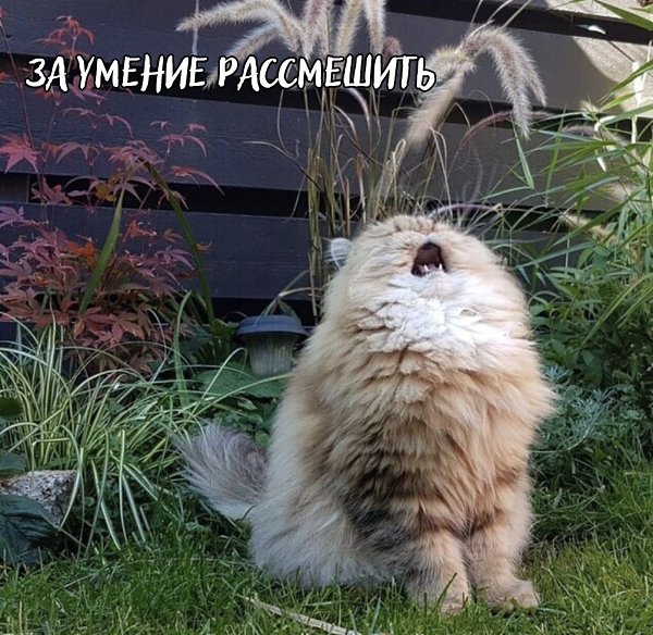      ? - 4