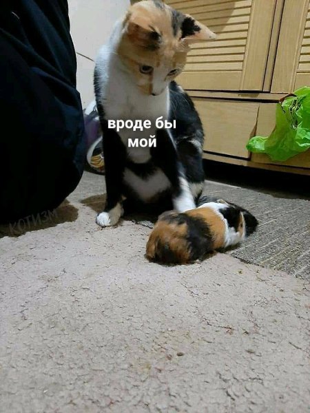       :