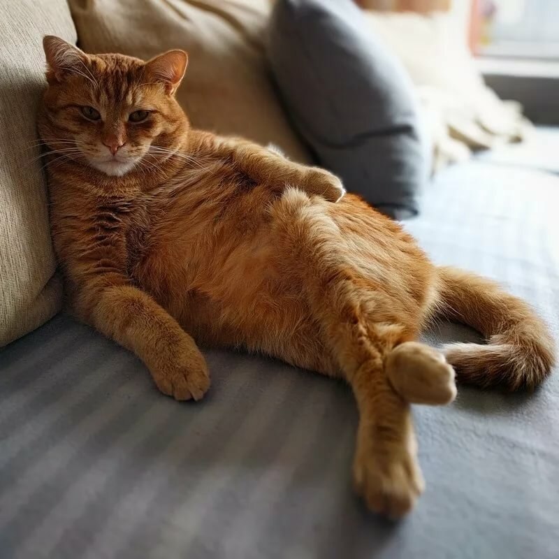 «Нарисуй меня, как одну из тех французских девушек». - 2