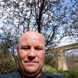 ������, ����������, 46 ���