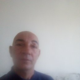 , 55 , 
