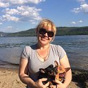 ���� ������, ��������, 53 ���� - ��������� 10 ��� 2020 � ������ ���� ����������