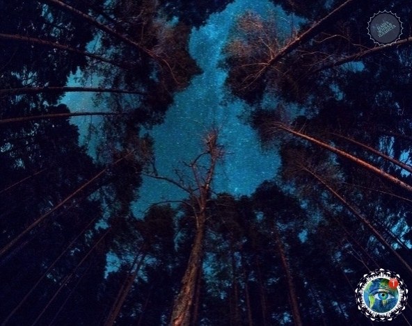 � �� �a �pa��, � ��a�a �o� �a�o�����c� ����a��. o��a � �oc�e���� pa� �� ���e�� ��e���oe �e�o? ... - 5