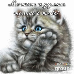 �������, ������, 64 ����