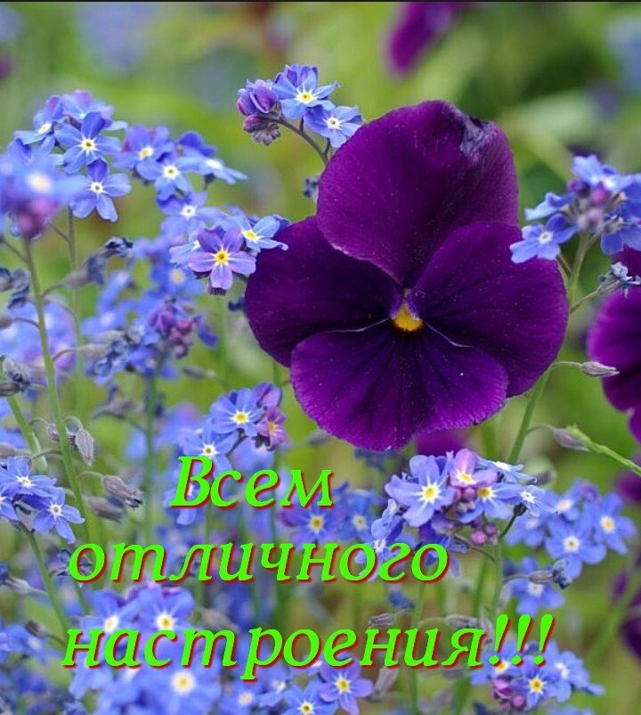   ,    . - 11  2020  16:53