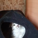 ���� ��������, �����������, 52 ���� - ��������� 26 ������ 2020 � ������ ���� ����������