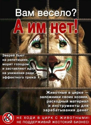 ��� ���� - 30 ��� 2020 � 20:17
