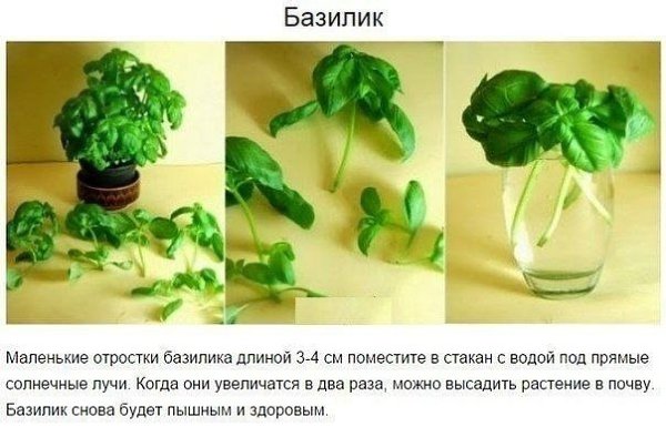 8 ������,������� ����� ������ ���� ���,� ����� ���������� ������. ����� ����� ������ ����� ������ ... - 5