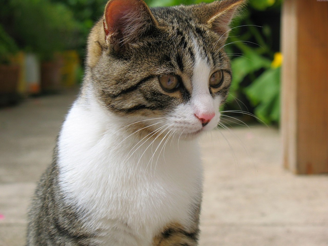 ������-���������