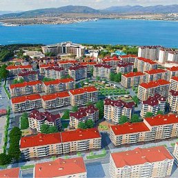 ������, ���������, 50 ���