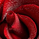 ���� ������, �������, 55 ��� - ��������� 13 ������ 2020 � ������ ���������� ������