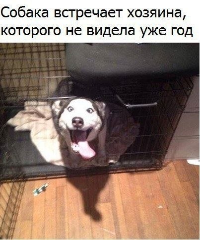 ������� - 15 ����� 2020 � 18:35