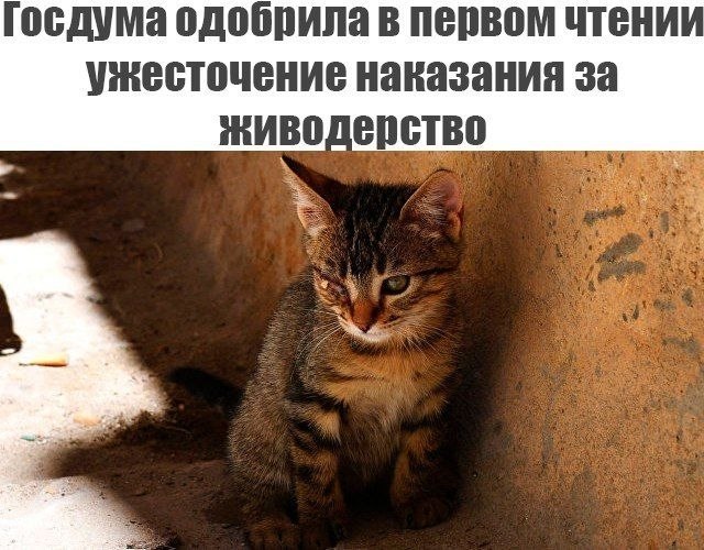  - 3  2020  18:40