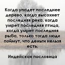 ���� �����, ���� - ��������� 6 ���� 2020 � ������ ������ ��������