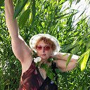 ���� ������, ������� ���, 61 ��� - ��������� 28 ���� 2020 � ������ ������ ��������