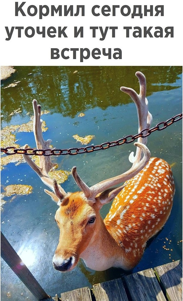 ��� ��� ������� , ���� �� �������.