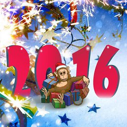 �����, ������, 55 ���