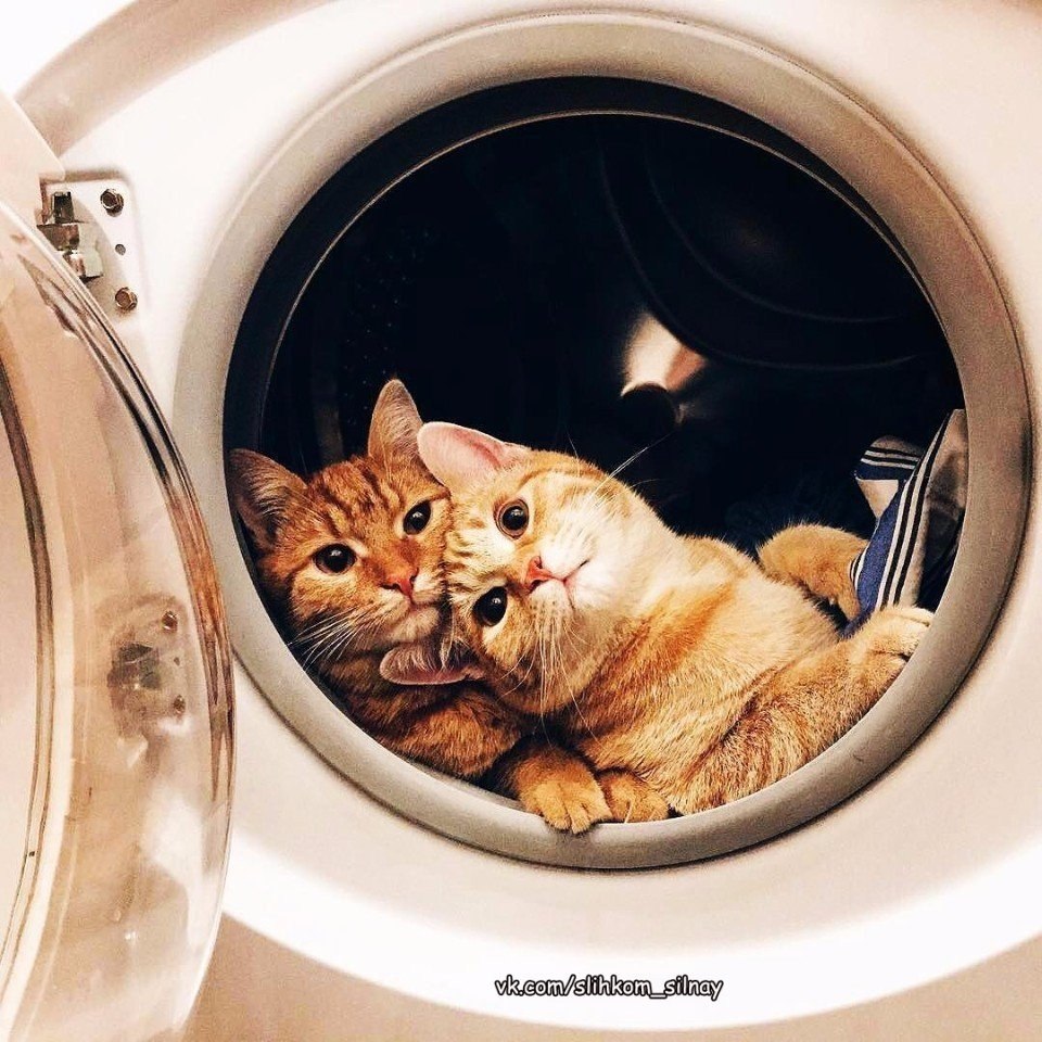 �� ����� ���, ������� � � ���