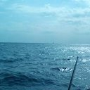 ����� � ����.�� ��������� ���� "�����",������� ������� ����� � �������. �� ������� ���� ����������