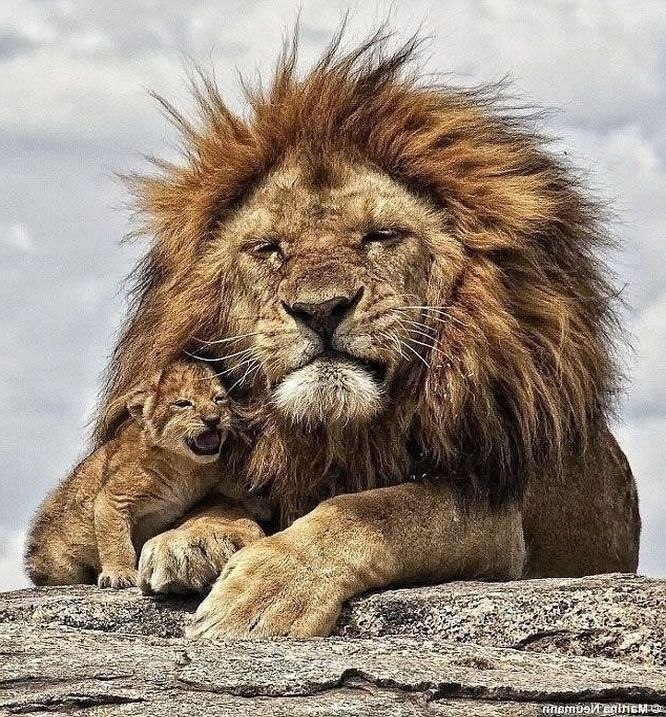 K���� �� ��� ��� ��p������ � ����� - 5