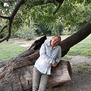 ���� ���������, ��������, 54 ���� - ��������� 18 ����� 2020 � ������ ���� ����������