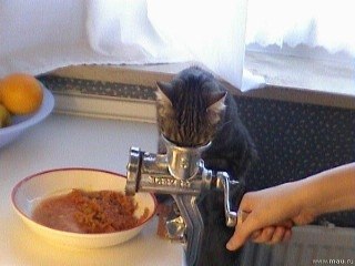 - ,   ? -  ? - ...   ,    - 2