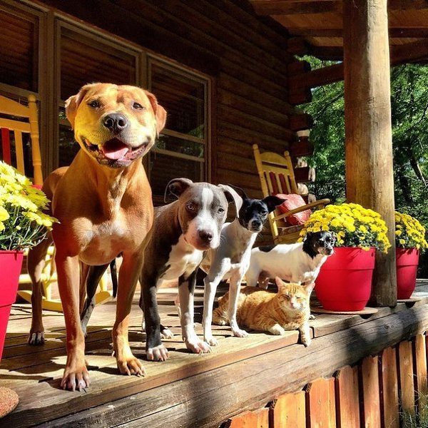 Великолепная пятерка друзей. Roxy, Edith, Mia, Rose и Jake.