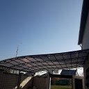 ���� �����, ������������, 36 ��� - ��������� 21 ������� 2020 � ������ �������