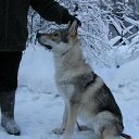 ���� ���������, �����, 48 ��� - ��������� 31 ������ 2020 � ������ ���� ����������