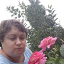 ���� �����, ���������, 36 ��� - ��������� 18 ���� 2020 � ������ ���� ����������