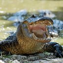 ���� Gennady, �������, 43 ���� - ��������� 10 ������� 2020 � ������ ������ ��������