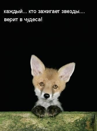 -Лисёнок, - сказал лисёнок лисёнку, - ты помни, пожалуйста, что если тебе тяжело, плохо, грустно, ...