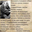 ���� �����, ������ - ��������� 20 ������� 2020 � ������ ������ ��������