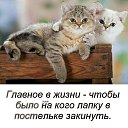 ���� Mari, �������, 53 ���� - ��������� 4 ���� 2020 � ������ ������ ��������
