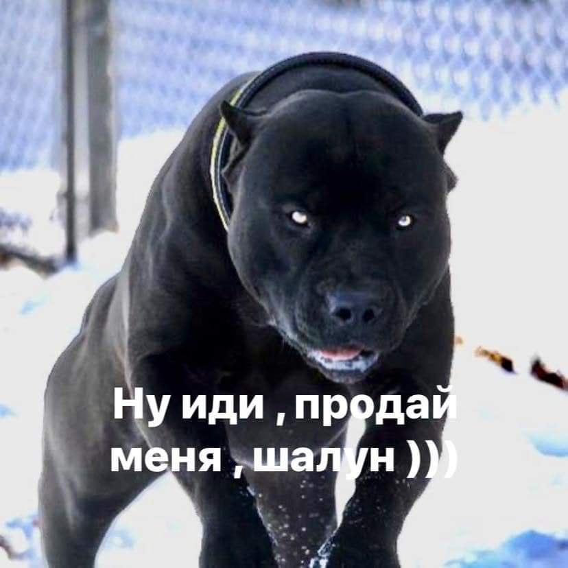 ������ - 4 ������� 2020 � 01:40