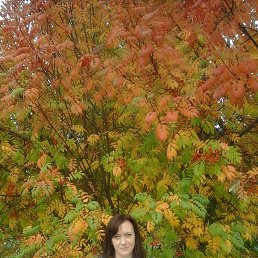 , 44 , 